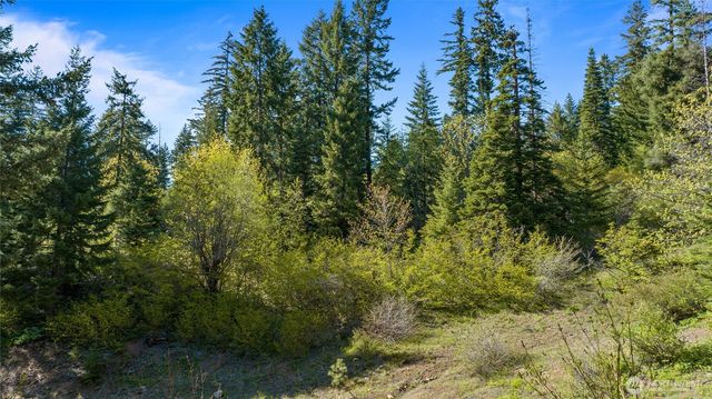 40 Newport Creek Loop, Ronald, WA 98941
