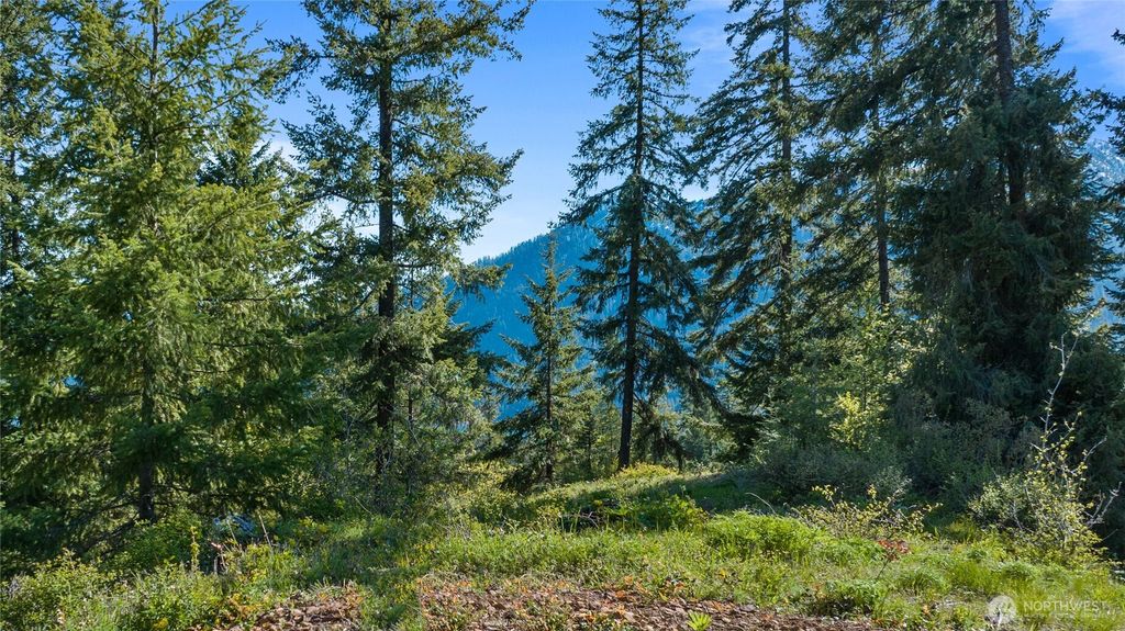 40 Newport Creek Loop, Ronald, WA 98941