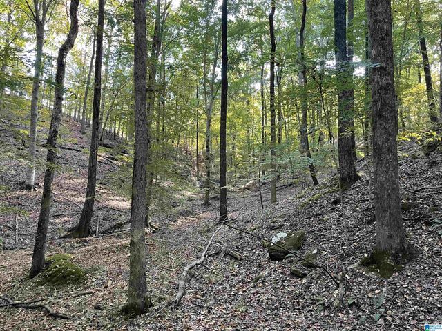 451 HEATHERWOOD DRIVE, Hoover, AL 35244