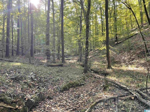 451 HEATHERWOOD DRIVE, Hoover, AL 35244