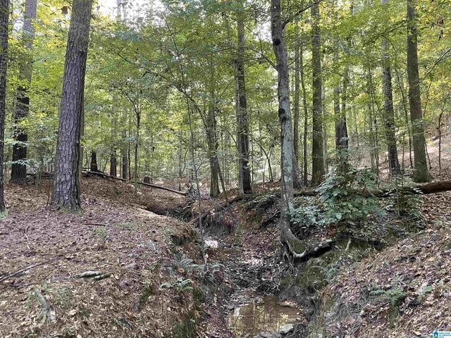 451 HEATHERWOOD DRIVE, Hoover, AL 35244