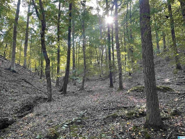 451 HEATHERWOOD DRIVE, Hoover, AL 35244