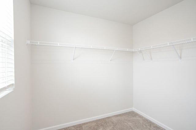 156 Fister Dr, Lebanon, TN 37090