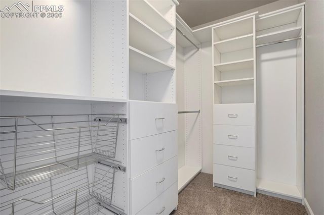 7818 Seibert Heights, Colorado Springs, CO 80908