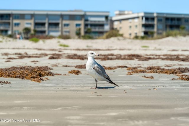 606 Shorewood Drive C308, Cape Canaveral, FL 32920