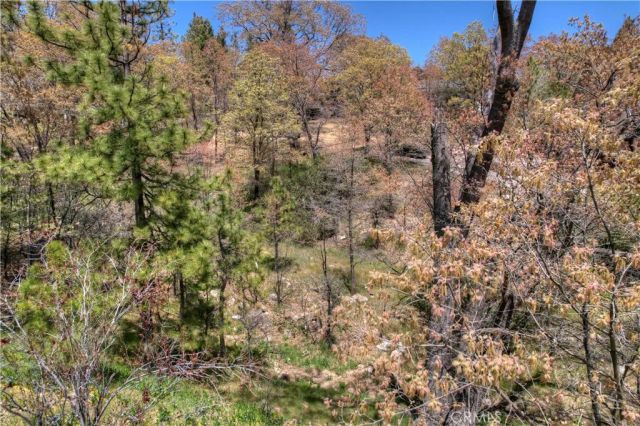 27998 W Shore, Lake Arrowhead, CA 92352
