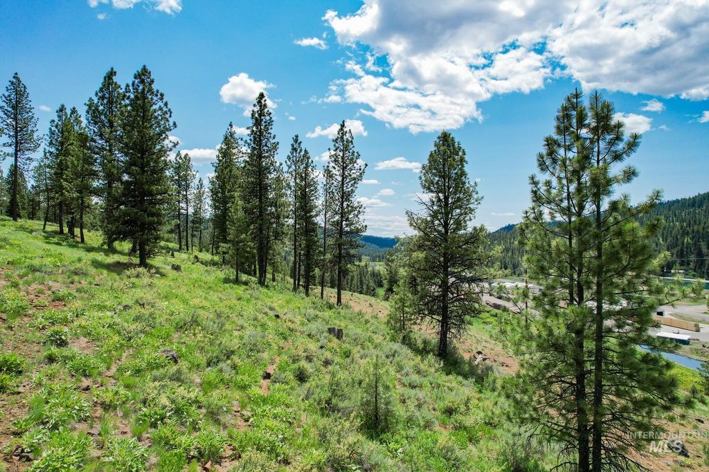 TBD Highway 95, New Meadows, ID 83654 photo 8