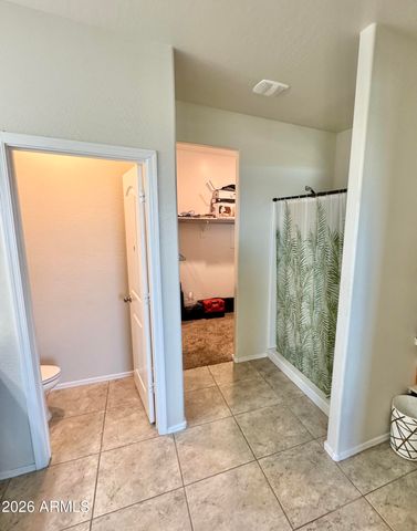3141 N 309TH Drive, Buckeye, AZ 85396