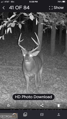 401 Herrin Road, Cornelia, GA 30531