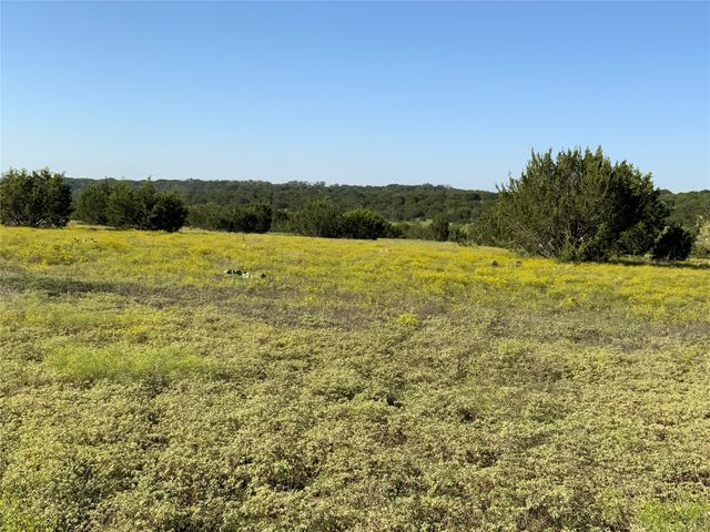 TBD County Road 386, Carlton, TX 76436