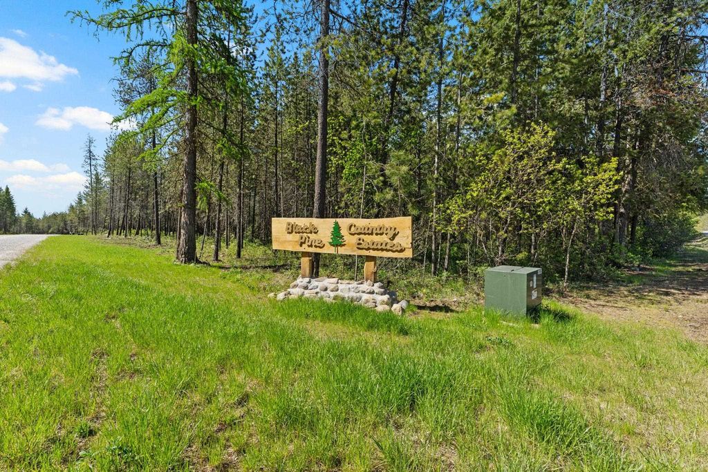 4109 Cemetery Rd, Springdale, WA 99173