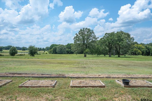 1461 VZCR 4607, Ben Wheeler, TX 75754