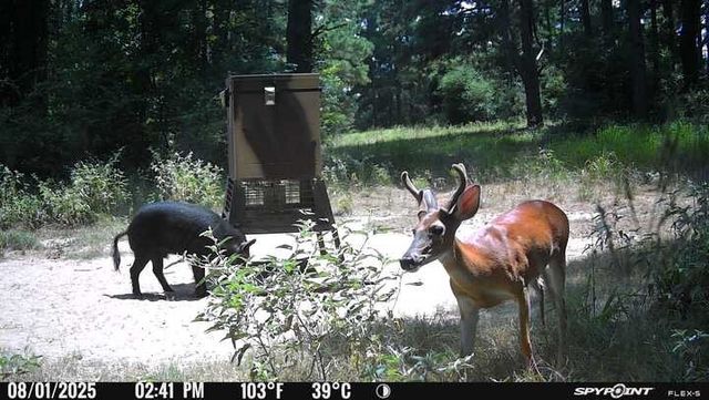 541 FCR 240, Fairfield, TX 75840