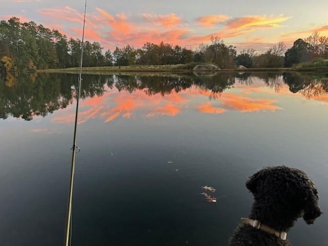 240 Driftwood Drive, Goodrich, TX 77335