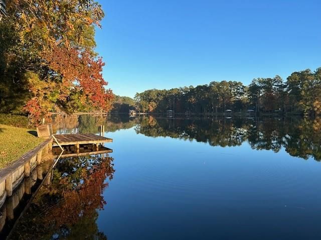 240 Driftwood Drive, Goodrich, TX 77335