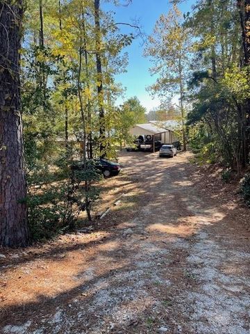 240 Driftwood Drive, Goodrich, TX 77335