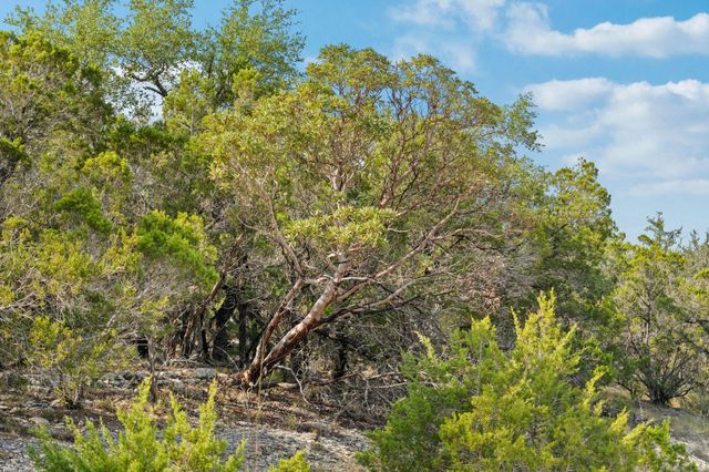 1000 Norwood RD, Dripping Springs, TX 78620
