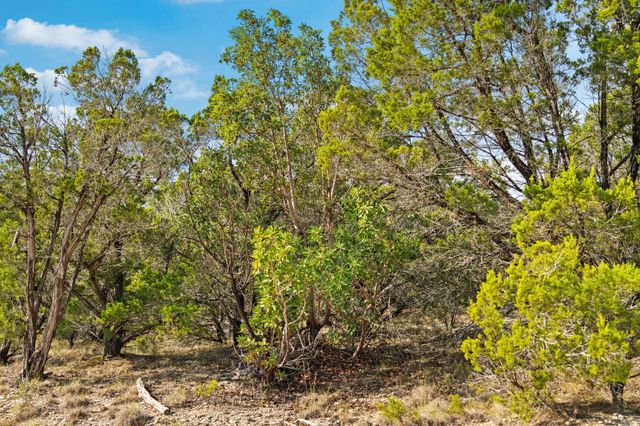 1000 Norwood RD, Dripping Springs, TX 78620