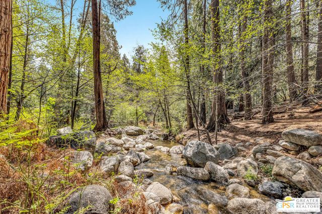 25655 Tahquitz Drive, Idyllwild, CA 92549