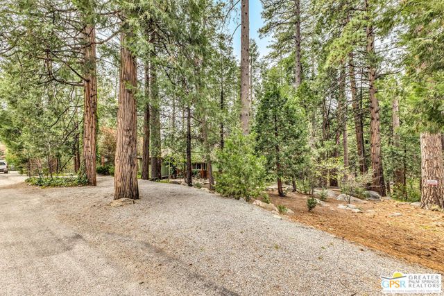 25655 Tahquitz Drive, Idyllwild, CA 92549
