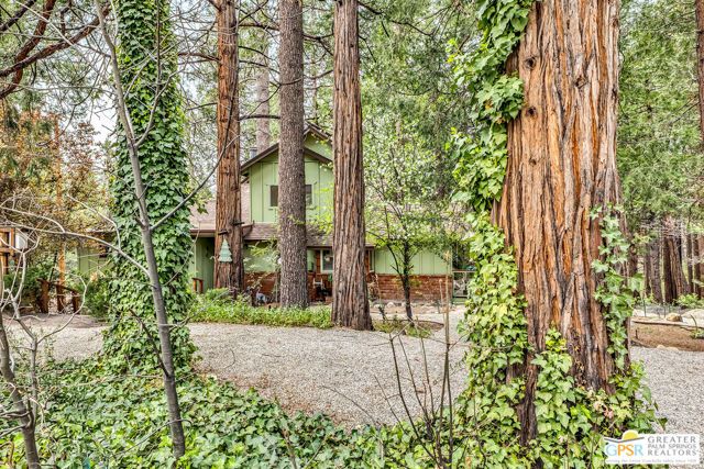 25655 Tahquitz Drive, Idyllwild, CA 92549