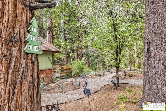 25655 Tahquitz Drive, Idyllwild, CA 92549