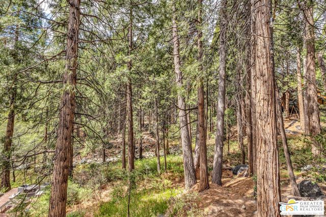 25655 Tahquitz Drive, Idyllwild, CA 92549