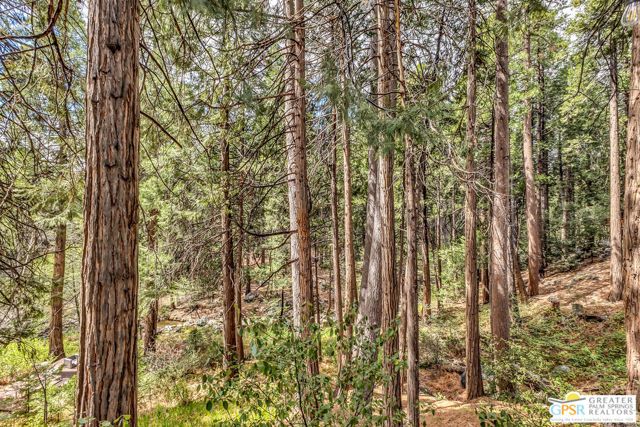 25655 Tahquitz Drive, Idyllwild, CA 92549