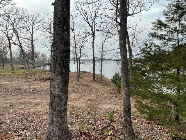 Lake Fork Lot Indian Gap, Quitman, TX 75783