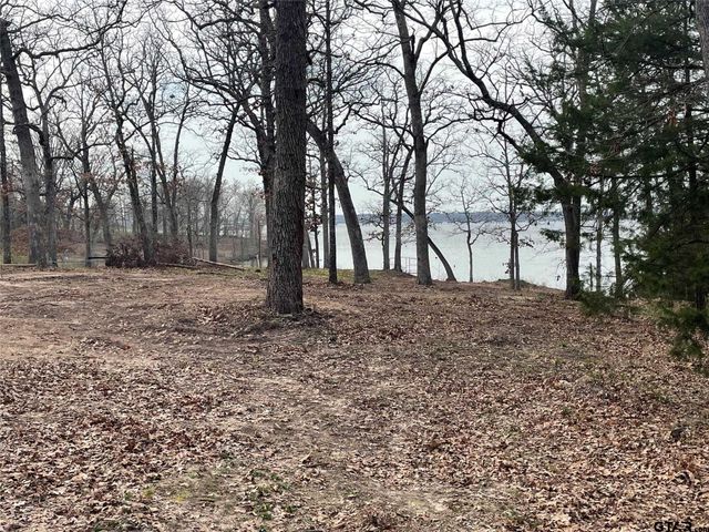 Lake Fork Lot Indian Gap, Quitman, TX 75783