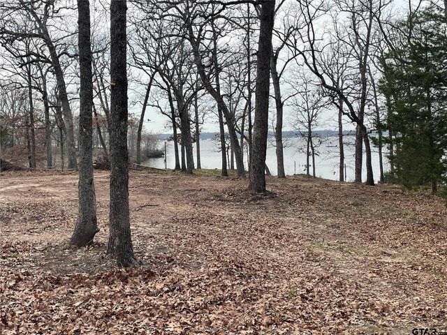 Lake Fork Lot Indian Gap, Quitman, TX 75783