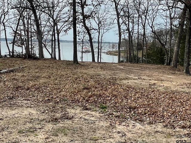 Lake Fork Lot Indian Gap, Quitman, TX 75783