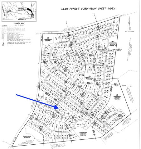 112 Eagle Run Road, Willis, TX 77378