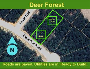 112 Eagle Run Road, Willis, TX 77378