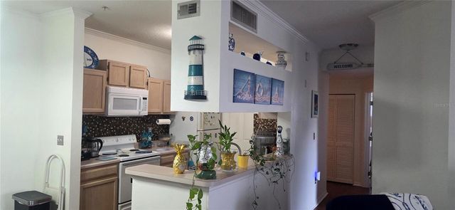 5602 PINNACLE HEIGHTS CIRCLE 312, Tampa, FL 33624