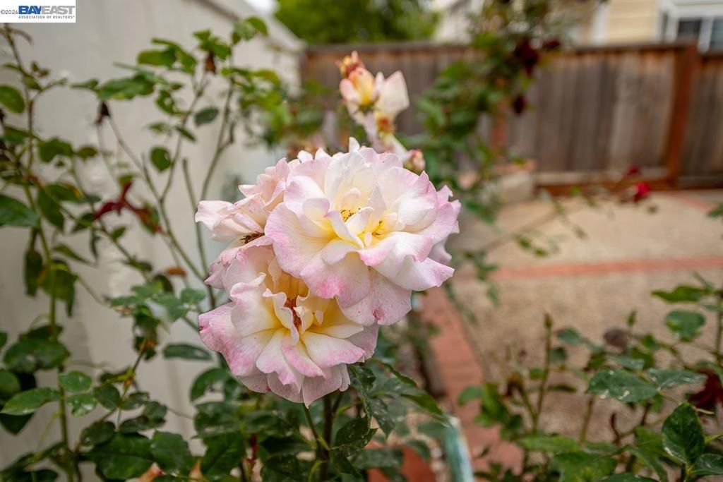 Image 58 of property listing at 4780 Cabello St, Union City, CA 94587