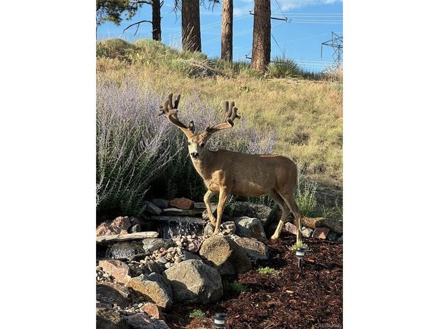 23953 E Roxbury Pl, Aurora, CO 80016