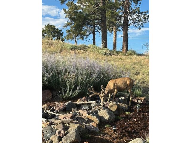 23953 E Roxbury Pl, Aurora, CO 80016