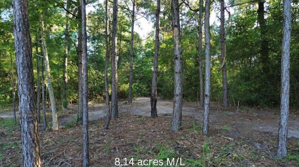 R97410 Carrell Road, Lufkin, TX 75901