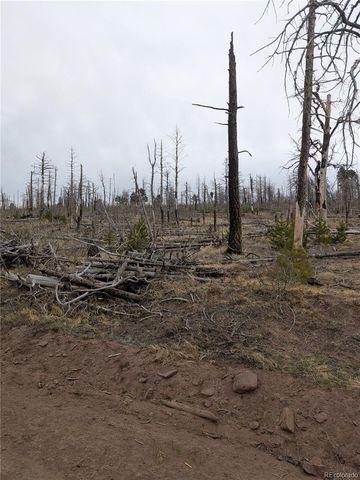 Lot 2296 Wohlstetter Loop, Fort Garland, CO 81133