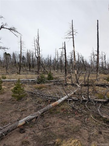 Lot 2296 Wohlstetter Loop, Fort Garland, CO 81133