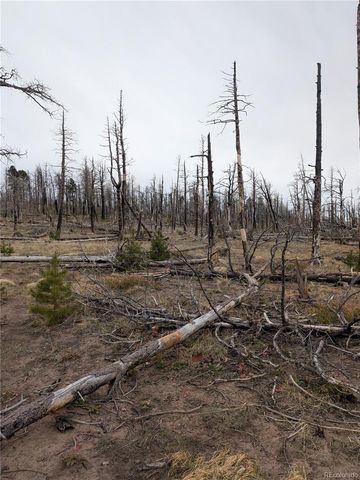 Lot 2296 Wohlstetter Loop, Fort Garland, CO 81133