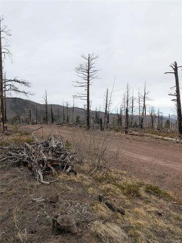 Lot 2296 Wohlstetter Loop, Fort Garland, CO 81133