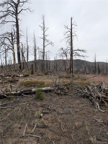 Lot 2296 Wohlstetter Loop, Fort Garland, CO 81133