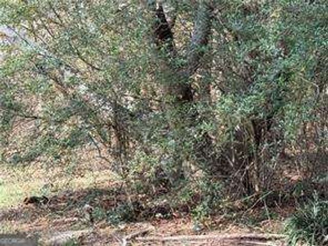 305 Brand Road SW, Loganville, GA 30052