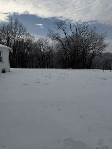 2124 Grants Chapel Rd, Adams, TN 37010