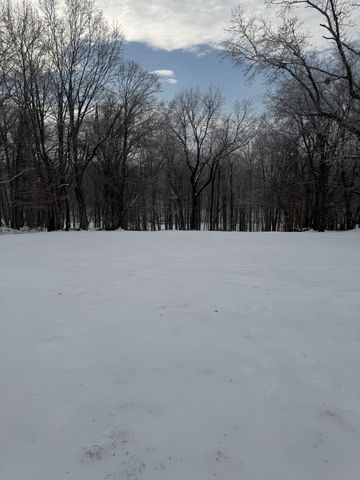 2124 Grants Chapel Rd, Adams, TN 37010