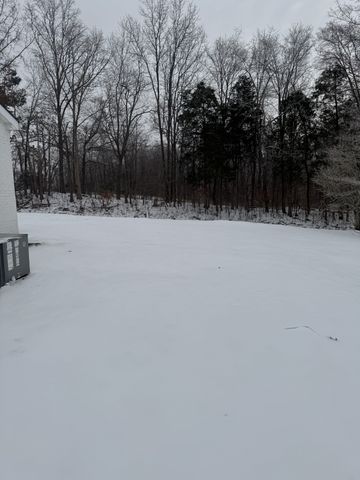 2124 Grants Chapel Rd, Adams, TN 37010