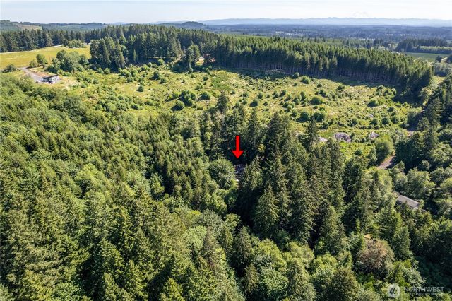 198 Burnett, Winlock, WA 98596