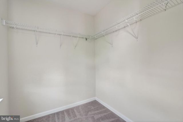 7120 MCHENRY MEWS, Frederick, MD 21703